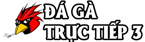 DAGATRUCTIEP3-Trực Tiếp Đá Gà Thomo Hôm Nay
