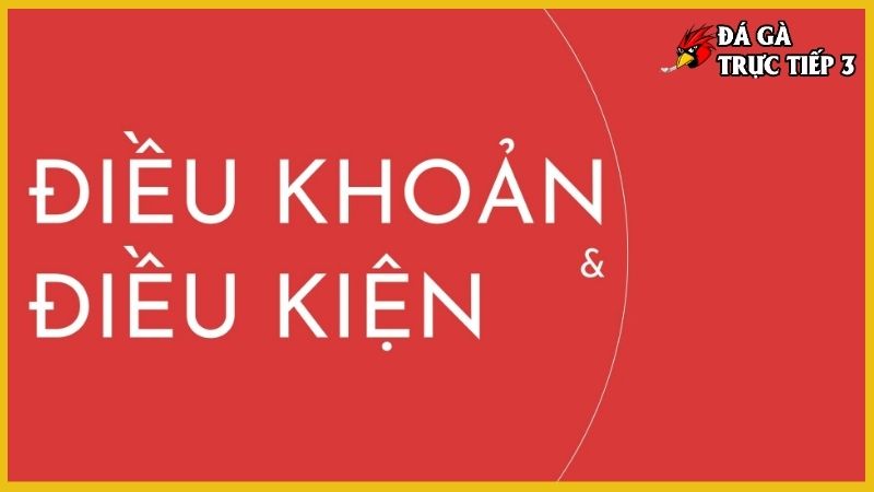 Điều kiện điều khoản - Thiết lập quy tắc an toàn vượt trội 6 Điều kiện điều khoản quy định quyền chấm dứt hoạt động