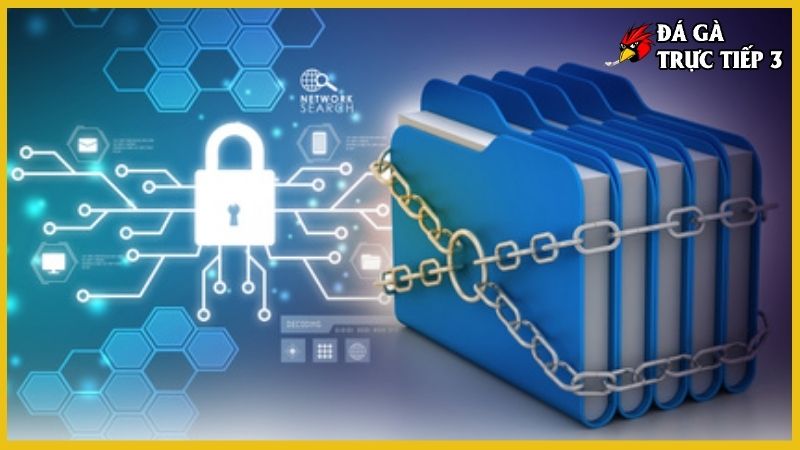 Chính sách bảo mật - Quy định quan trọng nên cập nhật 5 Trang web bảo vệ acc người dùng bằng cách nào?