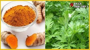 Rượu bóp gà chọi