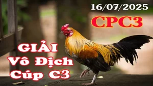 Xem Đá Gà Giải Thomo Hôm Nay | Giải Vô Địch Cúp C3 Ngày 16/07/2025
